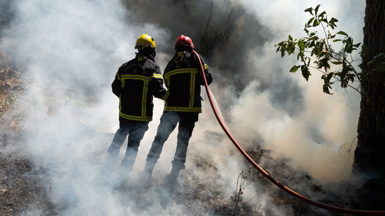 Feux de forêts : "9 fois sur 10 c'est l'homme qui est responsable, la plupart du temps de manière accidentelle" explique un expert de l'ONF