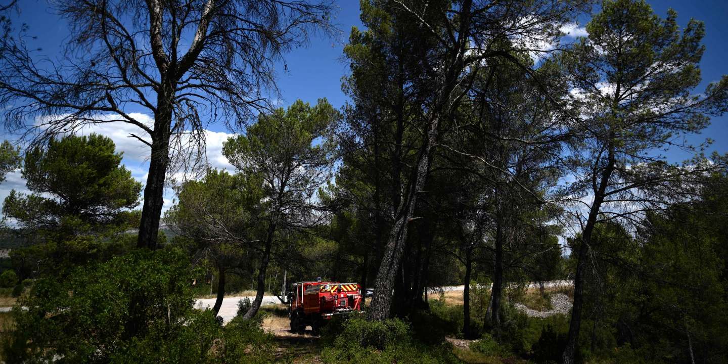 Canicule, en direct : dans le Var, placé en alerte rouge feux de forêts, huit massifs forestiers interdits d’accès dimanche