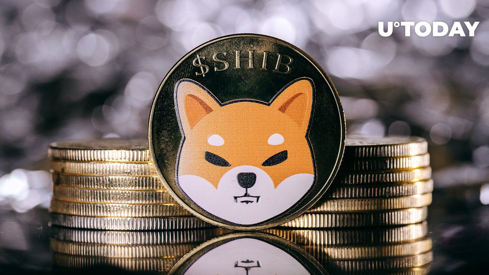 SHIB Price Rise Triggers Epic 260% Surge in Large Shiba Inu Transactions