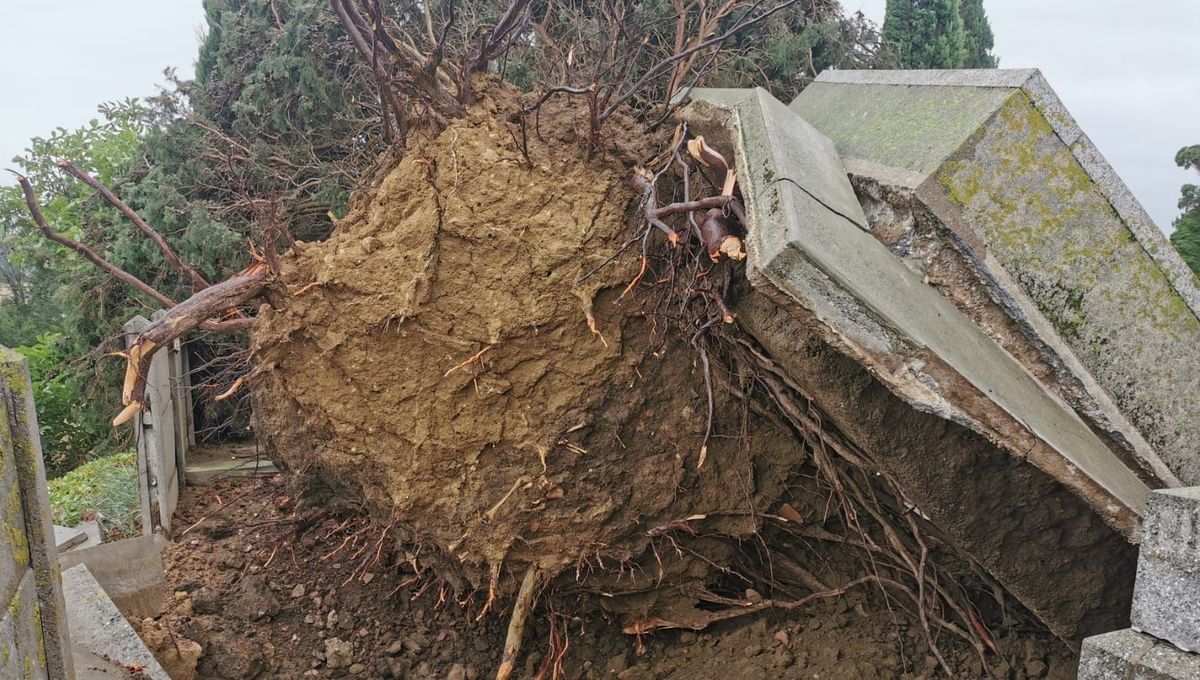 "Mini tornade" en Haute-Garonne : "on pouvait même voir les cercueils", raconte un témoin dans un cimetière