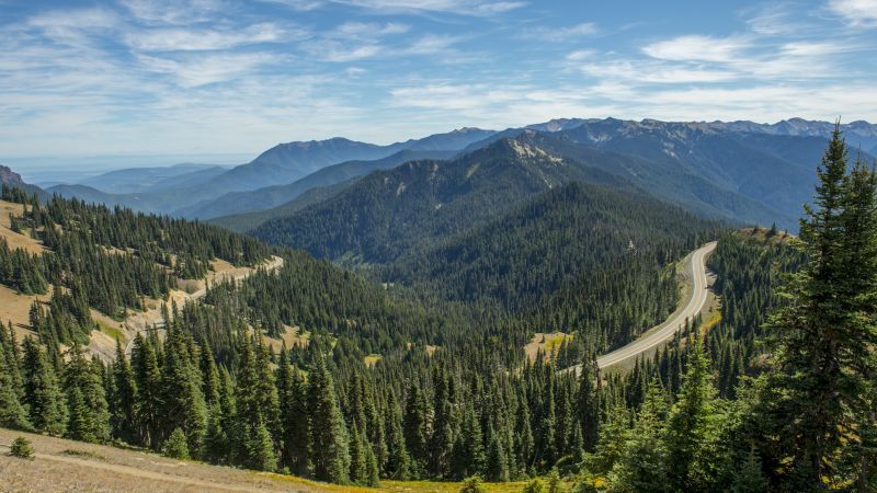 Cougar attacks 8-year-old child camping near Washington's Lake Angeles