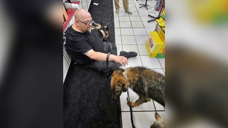 Multiple police dogs died from heat-related illness in Indiana after an air conditioning failure, authorities say