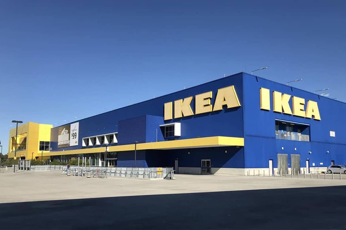 Ikea propose en ce moment une plante pas chère et capable d'humidifier l'intérieur de votre maison