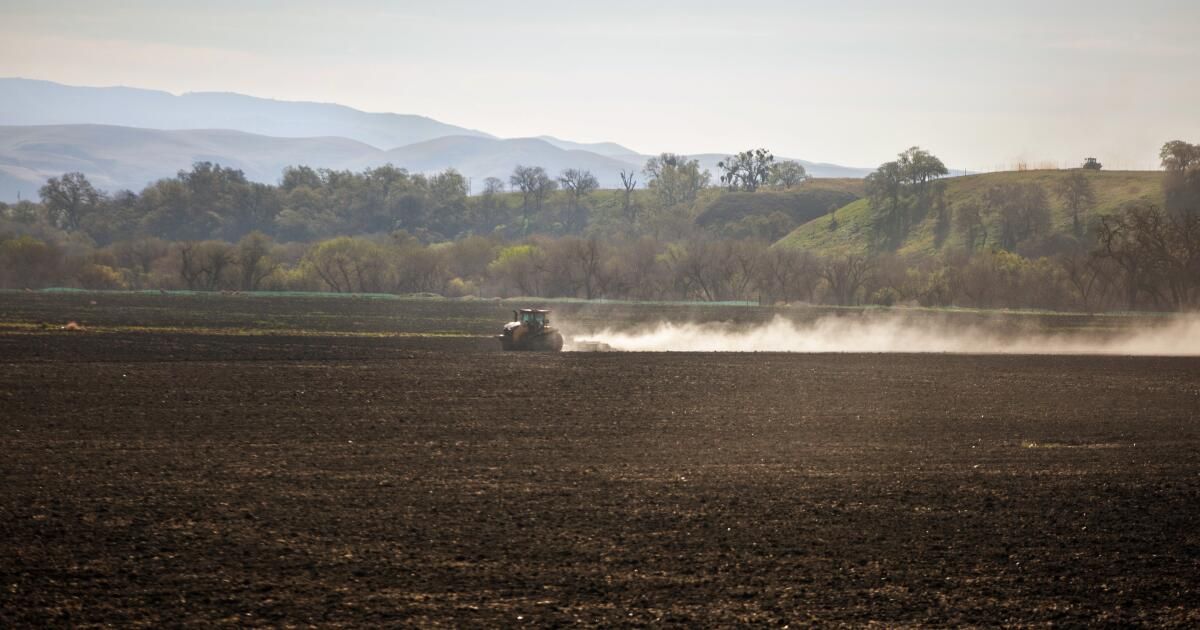 Valley fever sickens attendees of California music festival