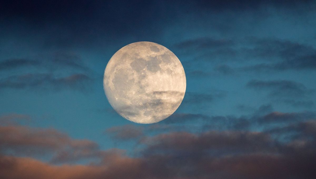 Astronomie : qu'est-ce que la "super Lune bleue", ce phénomène rare visible dans la nuit de mercredi à jeudi ?