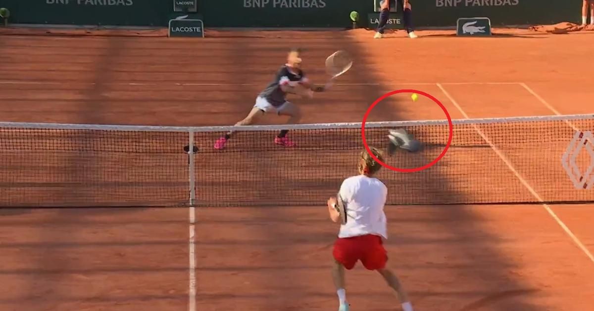 Roland-Garros 2023 : frôlé par une balle, un pigeon s'invite sur le filet en plein échange