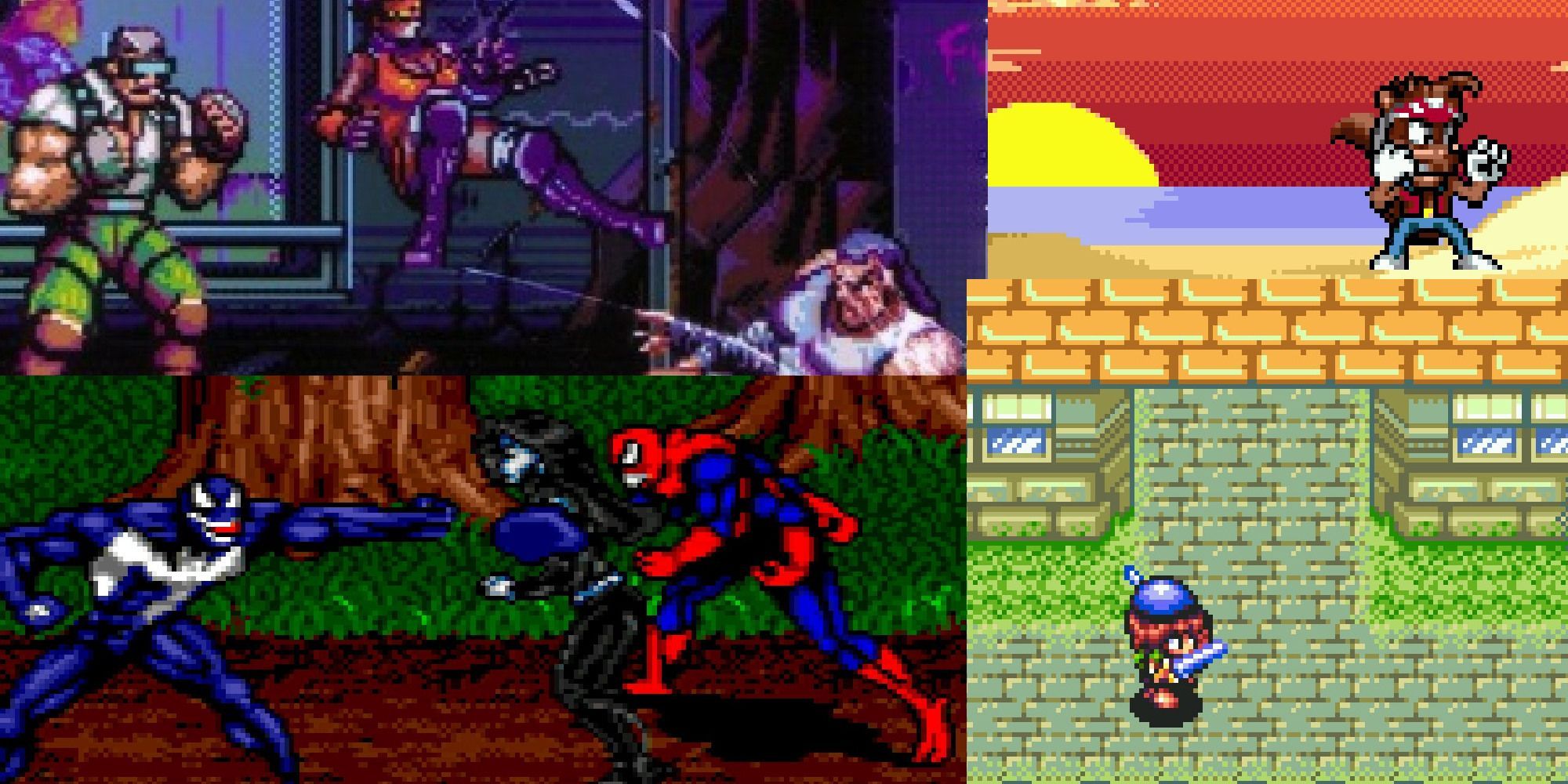 The Rarest Sega Genesis Games (& How Much They're Worth)