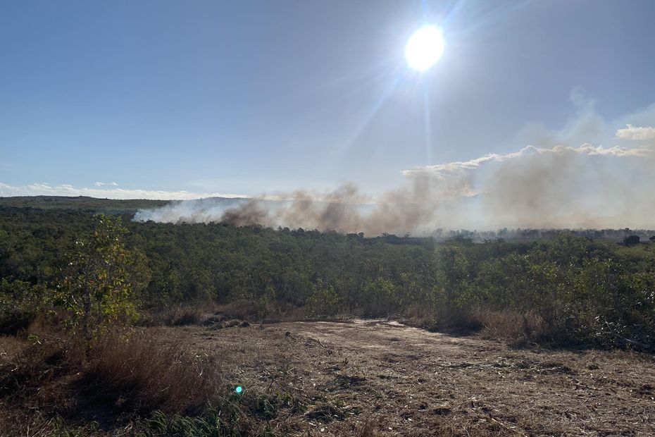 Pouembout : 50 hectares détruits par un incendie