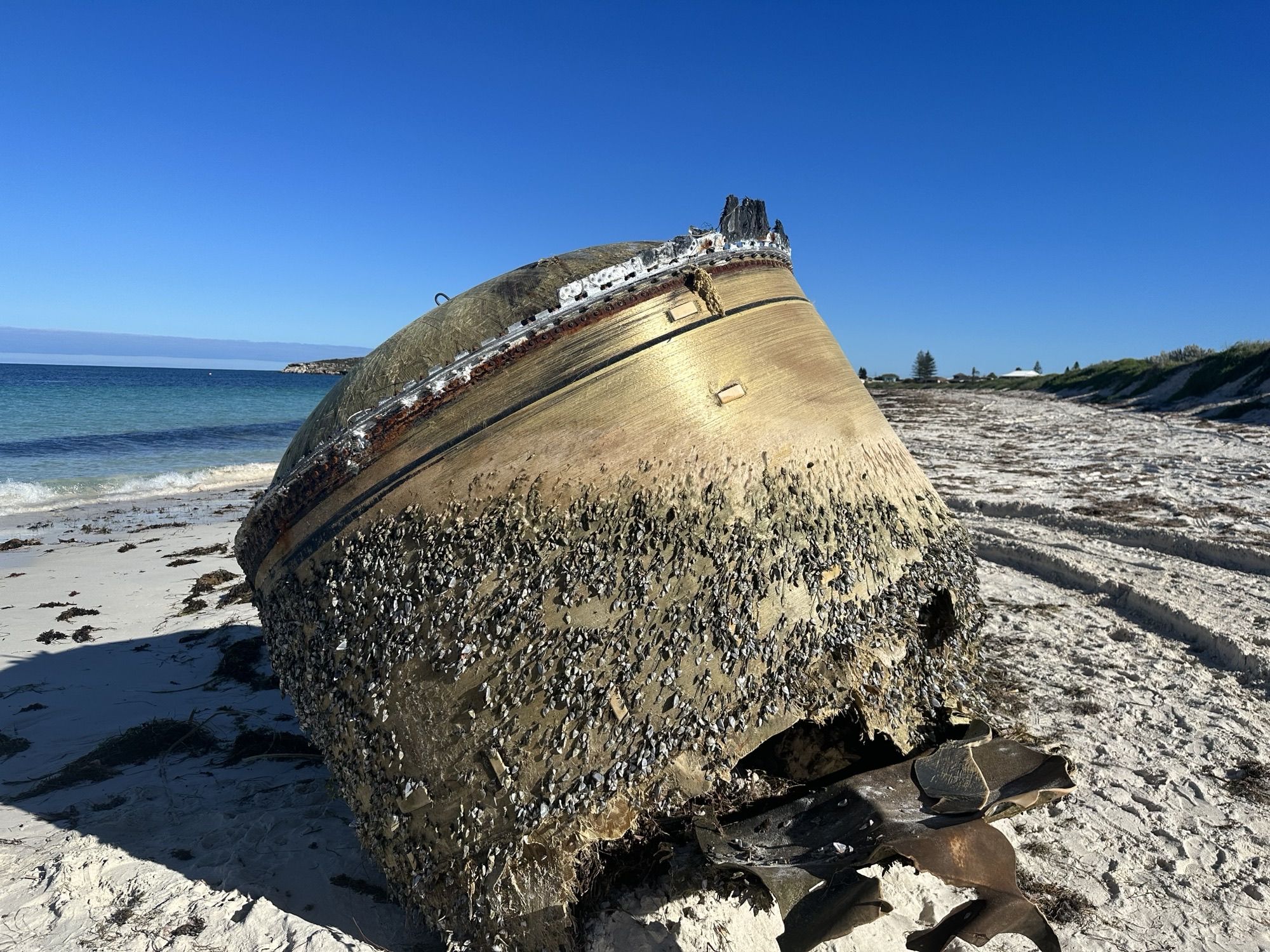 Scientists Solve Mystery of Unidentified Space Object Washed up on Beach