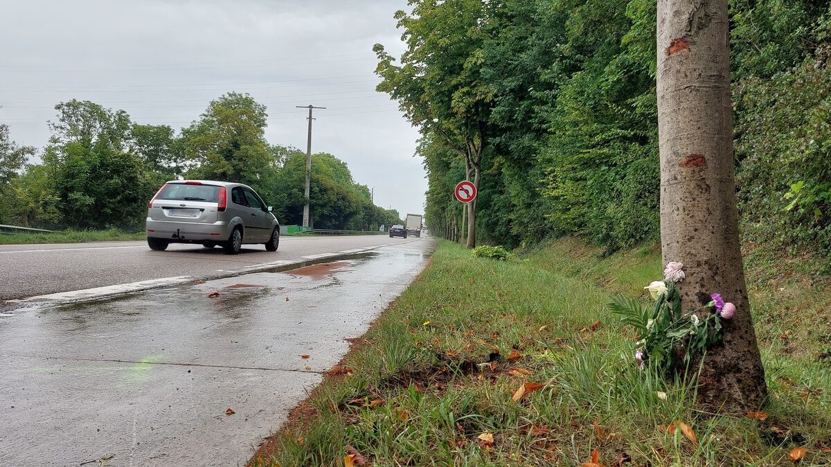 Accident de bus mortel dans les Yvelines : les voisins de Bocar, 64 ans, l’une des victimes, " sous le choc "