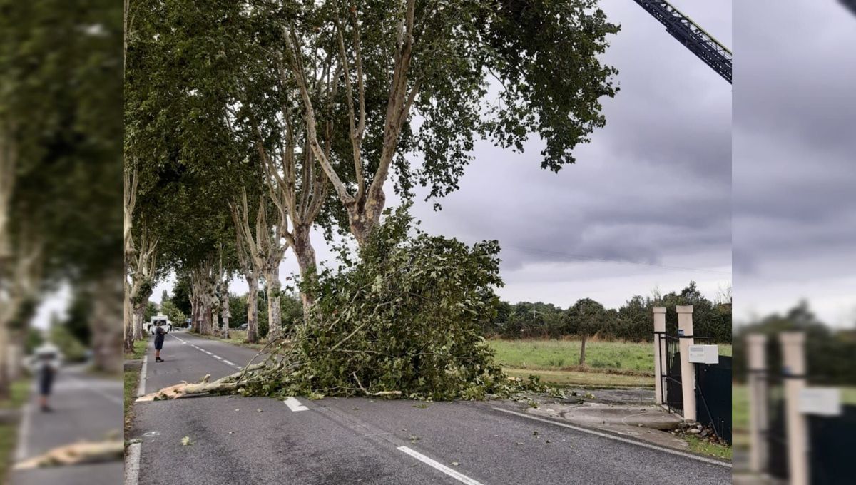 "Mini tornade" en Haute-Garonne : pourquoi l'état de catastrophe naturelle ne devrait pas être reconnu